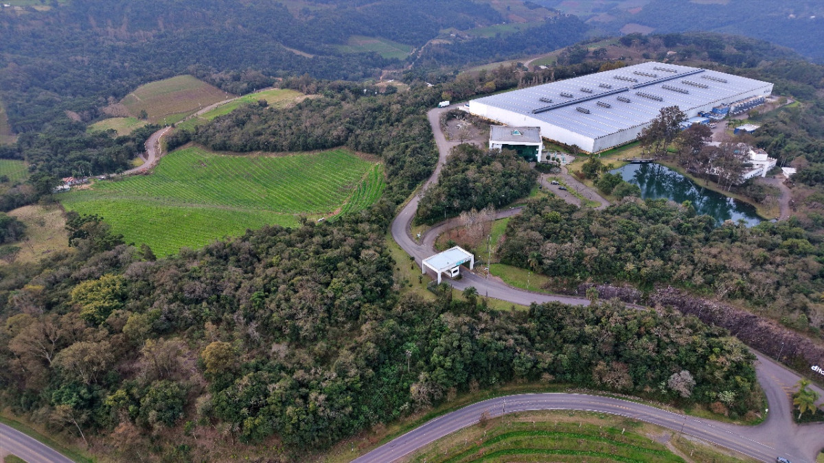 Lote 1 - IMÓVEL RURAL COM ÁREA DE 103.975M² LOCALIZADO EM MONTE BELO DO SUL, localizado em Monte Belo Do Sul - RS
