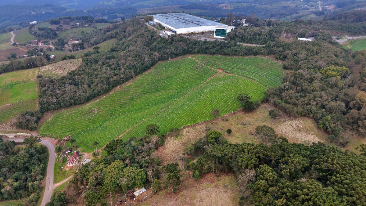 Lote 1 - IMÓVEL RURAL COM ÁREA DE 103.975M² LOCALIZADO EM MONTE BELO DO SUL, localizado em Monte Belo Do Sul - RS