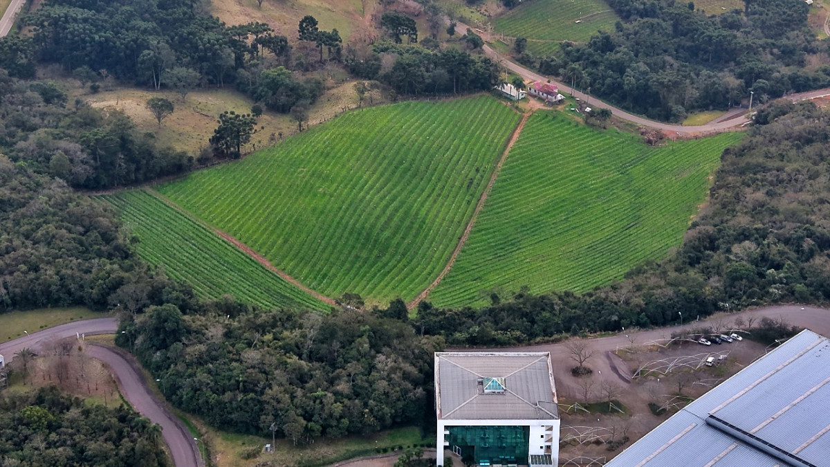 Lote 1 - IMÓVEL RURAL COM ÁREA DE 103.975M² LOCALIZADO EM MONTE BELO DO SUL, localizado em Monte Belo Do Sul - RS
