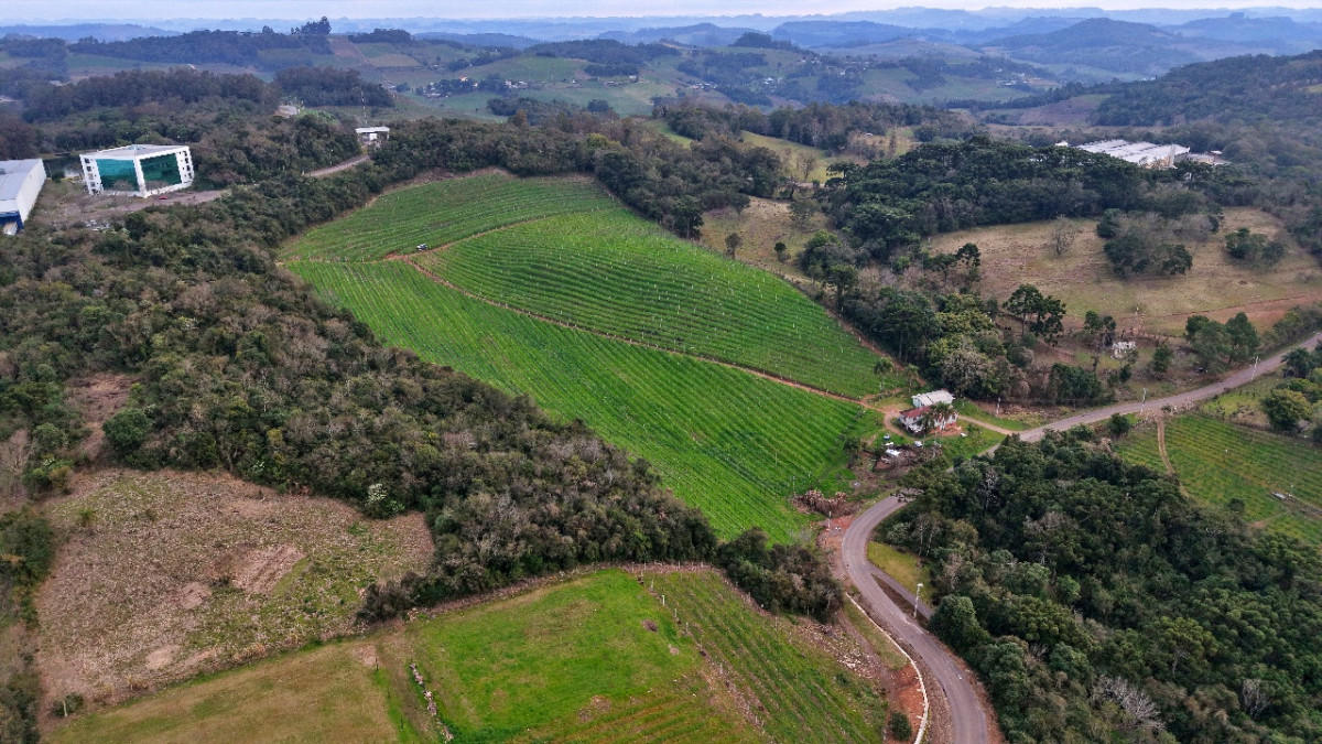 Lote 1 - IMÓVEL RURAL COM ÁREA DE 103.975M² LOCALIZADO EM MONTE BELO DO SUL, localizado em Monte Belo Do Sul - RS