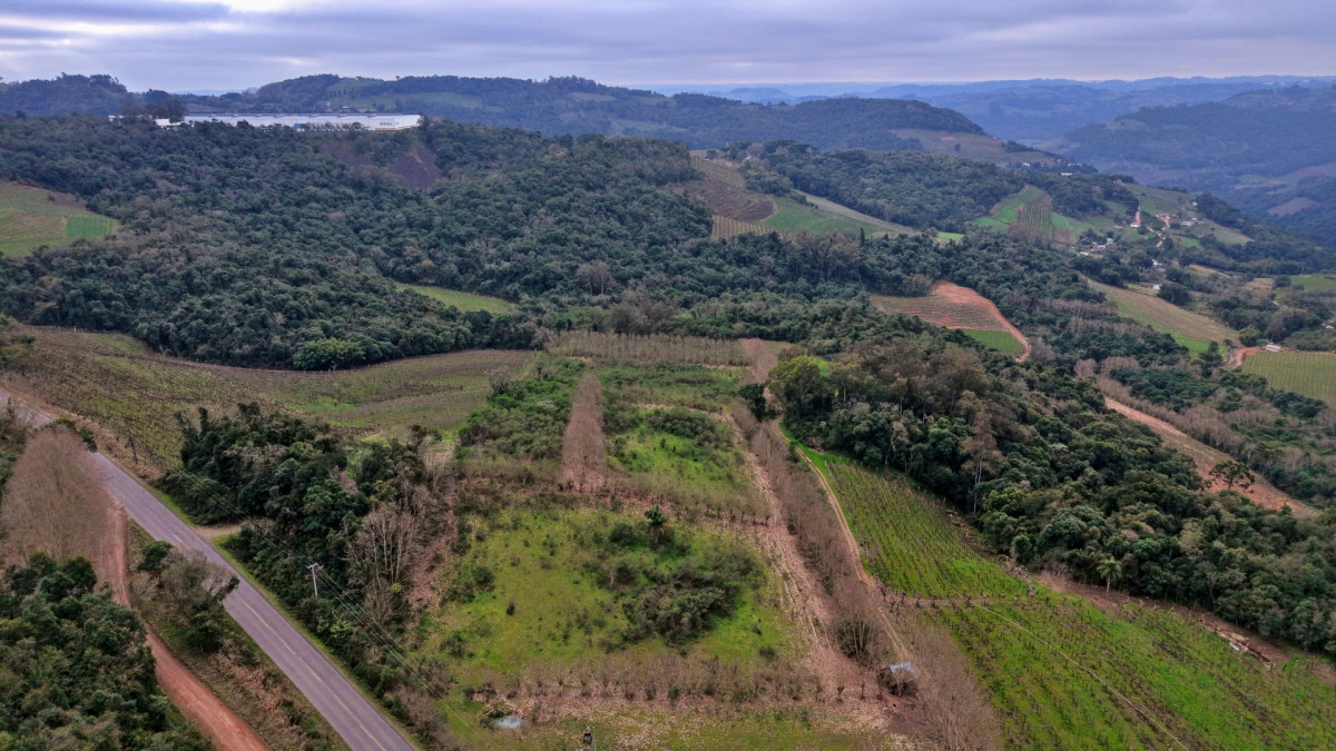 Lote 2 - IMÓVEL RURAL COM ÁREA DE 115.182,50M² LOCALIZADA EM BENTO GONÇALVES, localizado em Bento Gonçalves - RS
