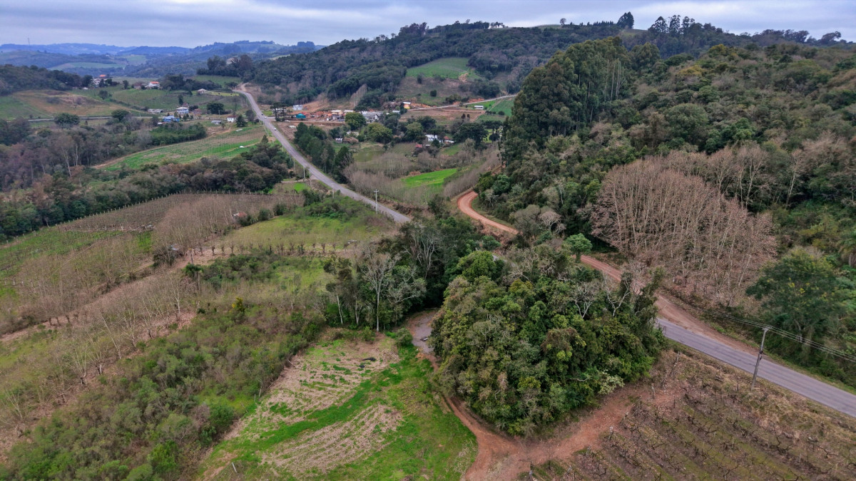 Lote 2 - IMÓVEL RURAL COM ÁREA DE 115.182,50M² LOCALIZADA EM BENTO GONÇALVES, localizado em Bento Gonçalves - RS