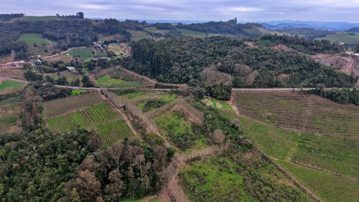 Lote 2 - IMÓVEL RURAL COM ÁREA DE 115.182,50M² LOCALIZADA EM BENTO GONÇALVES, localizado em Bento Gonçalves - RS