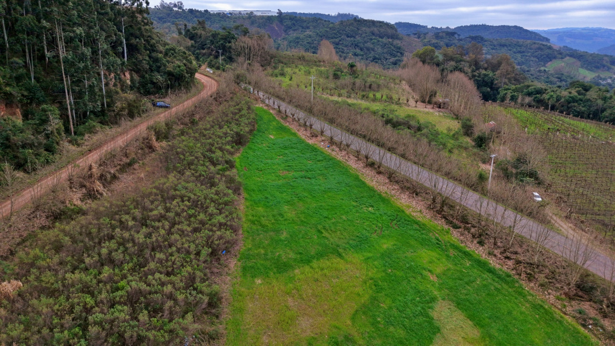 Lote 2 - IMÓVEL RURAL COM ÁREA DE 115.182,50M² LOCALIZADA EM BENTO GONÇALVES, localizado em Bento Gonçalves - RS