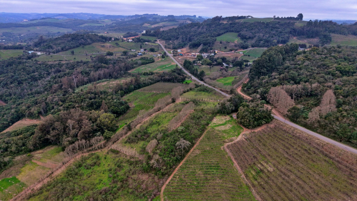 Lote 2 - IMÓVEL RURAL COM ÁREA DE 115.182,50M² LOCALIZADA EM BENTO GONÇALVES, localizado em Bento Gonçalves - RS