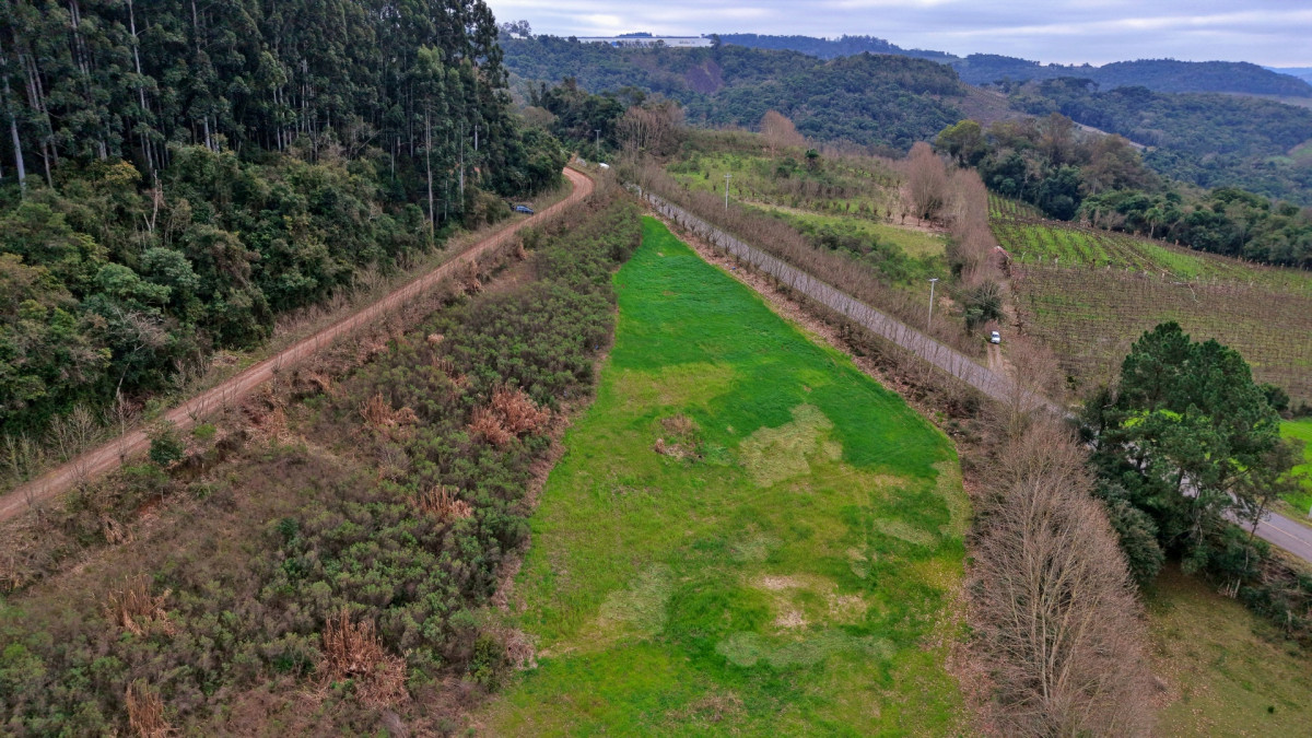 Lote 2 - IMÓVEL RURAL COM ÁREA DE 115.182,50M² LOCALIZADA EM BENTO GONÇALVES, localizado em Bento Gonçalves - RS