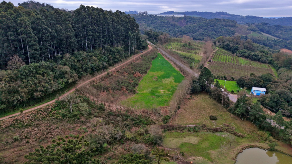 Lote 2 - IMÓVEL RURAL COM ÁREA DE 115.182,50M² LOCALIZADA EM BENTO GONÇALVES, localizado em Bento Gonçalves - RS