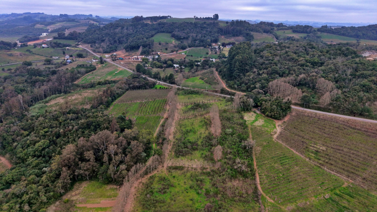 Lote 2 - IMÓVEL RURAL COM ÁREA DE 115.182,50M² LOCALIZADA EM BENTO GONÇALVES, localizado em Bento Gonçalves - RS