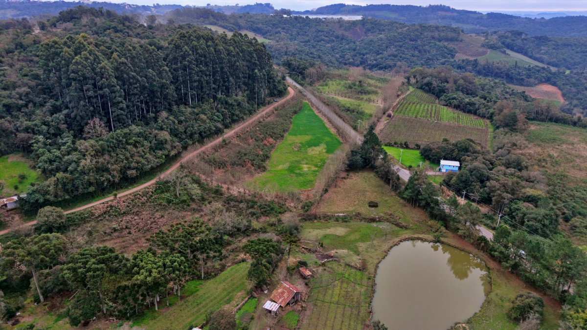 Lote 2 - IMÓVEL RURAL COM ÁREA DE 115.182,50M² LOCALIZADA EM BENTO GONÇALVES, localizado em Bento Gonçalves - RS