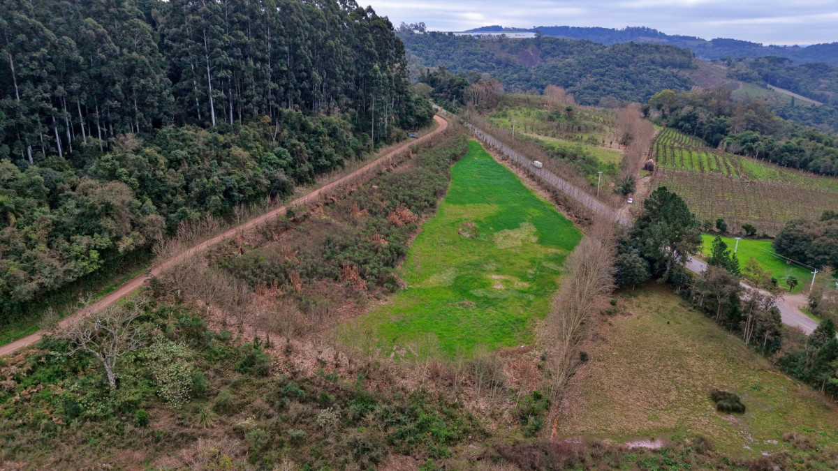Lote 2 - IMÓVEL RURAL COM ÁREA DE 115.182,50M² LOCALIZADA EM BENTO GONÇALVES, localizado em Bento Gonçalves - RS