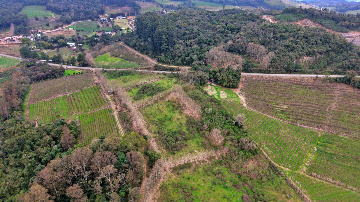 Lote 2 - IMÓVEL RURAL COM ÁREA DE 115.182,50M² LOCALIZADA EM BENTO GONÇALVES, localizado em Bento Gonçalves - RS