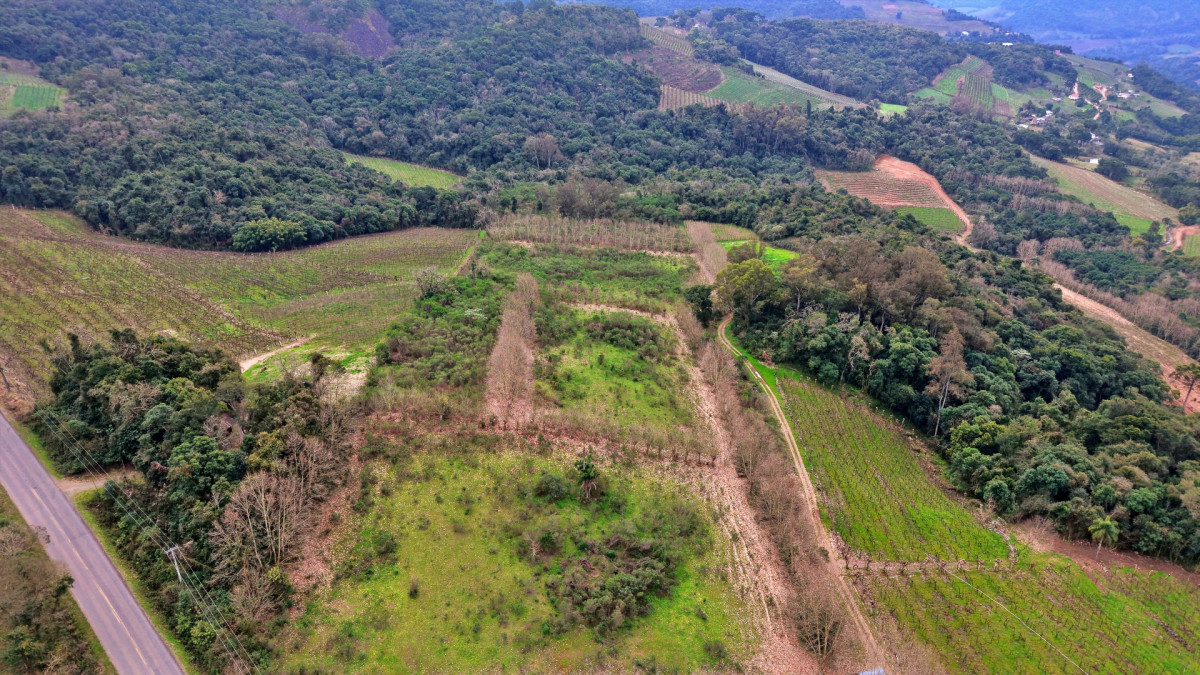 Lote 2 - IMÓVEL RURAL COM ÁREA DE 115.182,50M² LOCALIZADA EM BENTO GONÇALVES, localizado em Bento Gonçalves - RS