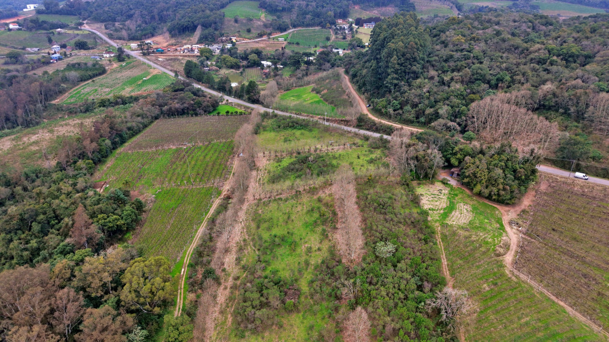 Lote 2 - IMÓVEL RURAL COM ÁREA DE 115.182,50M² LOCALIZADA EM BENTO GONÇALVES, localizado em Bento Gonçalves - RS