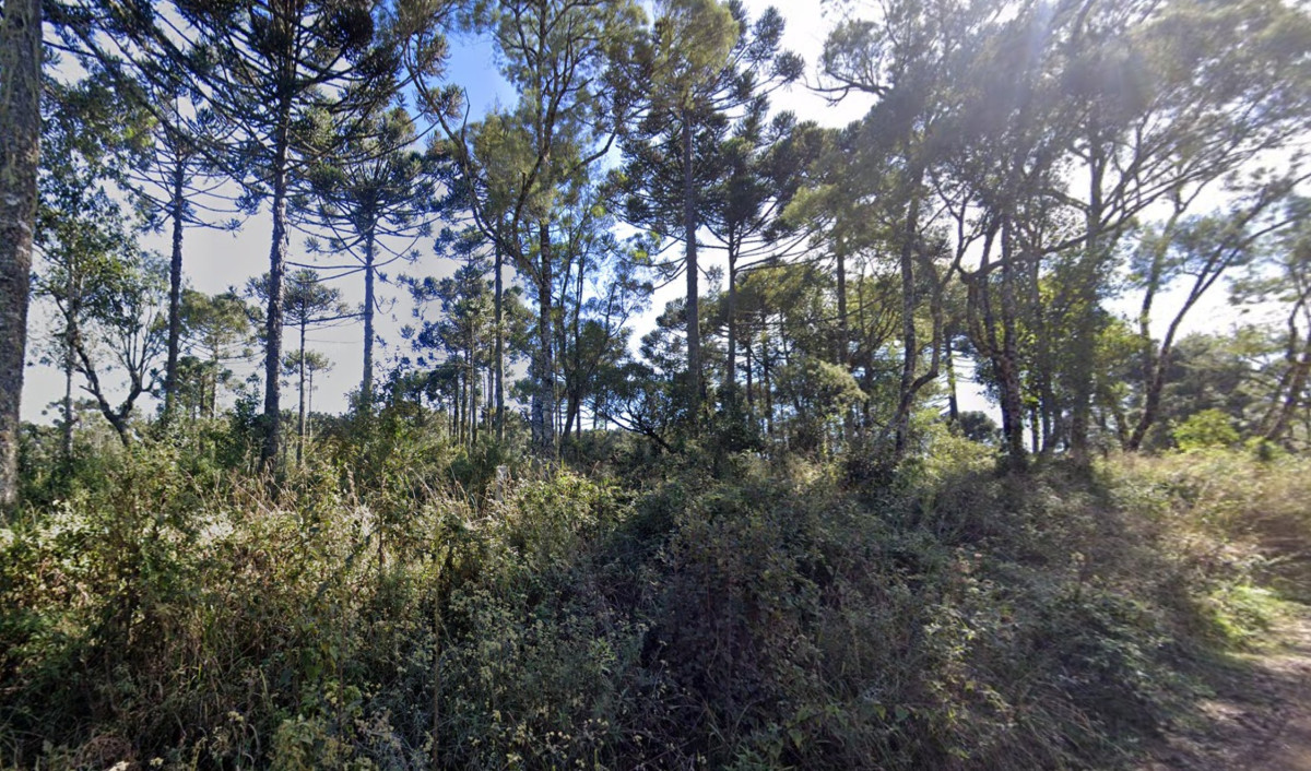 Lote 1 - IMÓVEL RURAL NO LUGAR DENOMINADO SÃO MIGUEL, FAZENDA SÃO MANOEL, GENERAL CARNEIRO/PR, localizado em General Carneiro - PR