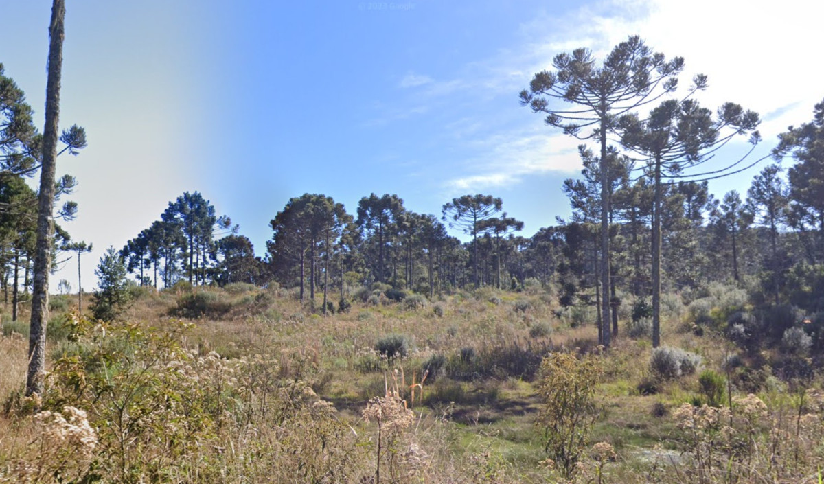 Lote 1 - IMÓVEL RURAL NO LUGAR DENOMINADO SÃO MIGUEL, FAZENDA SÃO MANOEL, GENERAL CARNEIRO/PR, localizado em General Carneiro - PR