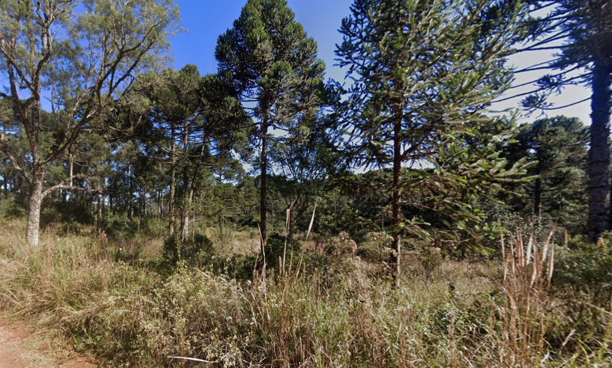 Lote 1 - IMÓVEL RURAL NO LUGAR DENOMINADO SÃO MIGUEL, FAZENDA SÃO MANOEL, GENERAL CARNEIRO/PR, localizado em General Carneiro - PR