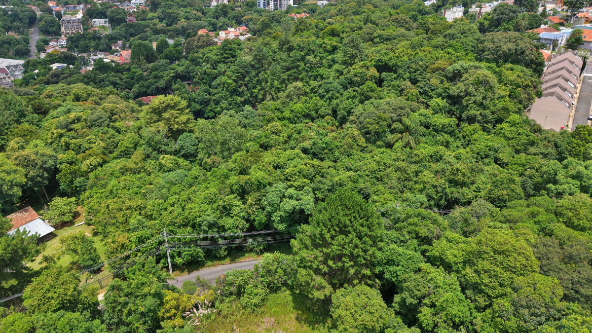 Lote 1 - TERRENO NA RUA PRIMEIRO MINISTRO BROCHADO DA ROCHA, PILARZINHO, localizado em Curitiba - PR, bairro Pilarzinho