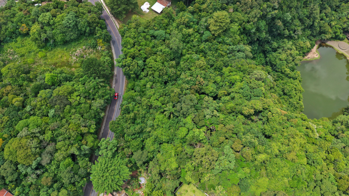 Lote 1 - TERRENO NA RUA PRIMEIRO MINISTRO BROCHADO DA ROCHA, PILARZINHO, localizado em Curitiba - PR, bairro Pilarzinho