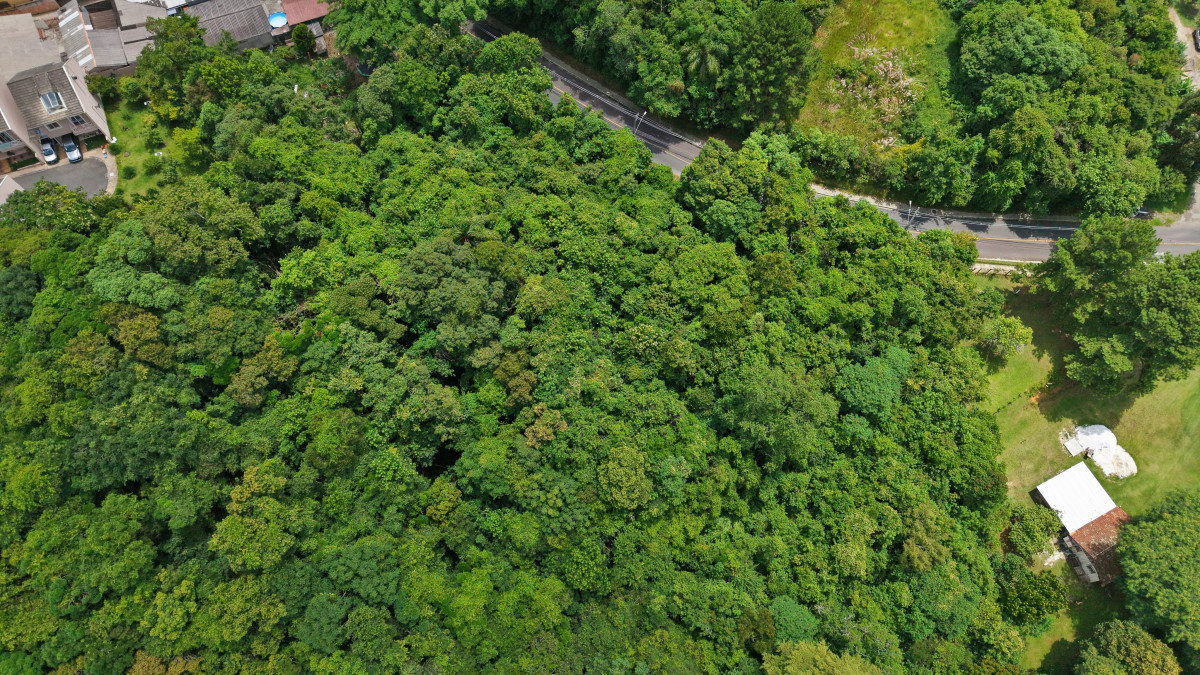 Lote 1 - TERRENO NA RUA PRIMEIRO MINISTRO BROCHADO DA ROCHA, PILARZINHO, localizado em Curitiba - PR, bairro Pilarzinho