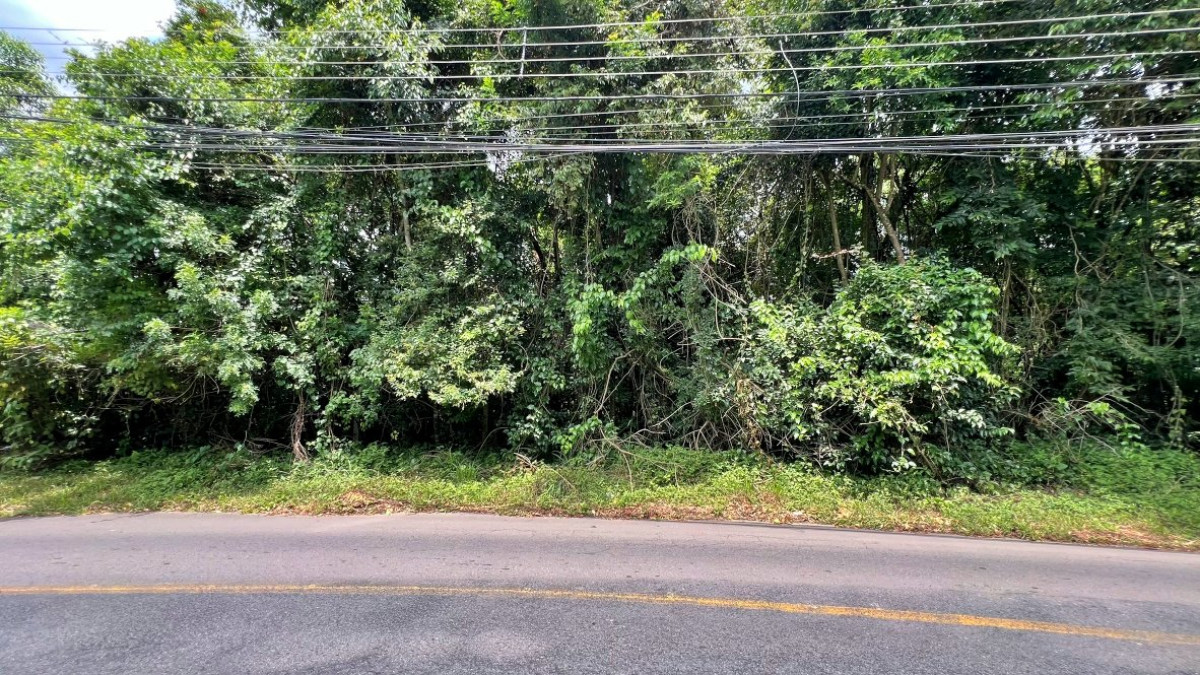 Lote 1 - TERRENO NA RUA PRIMEIRO MINISTRO BROCHADO DA ROCHA, PILARZINHO, localizado em Curitiba - PR, bairro Pilarzinho