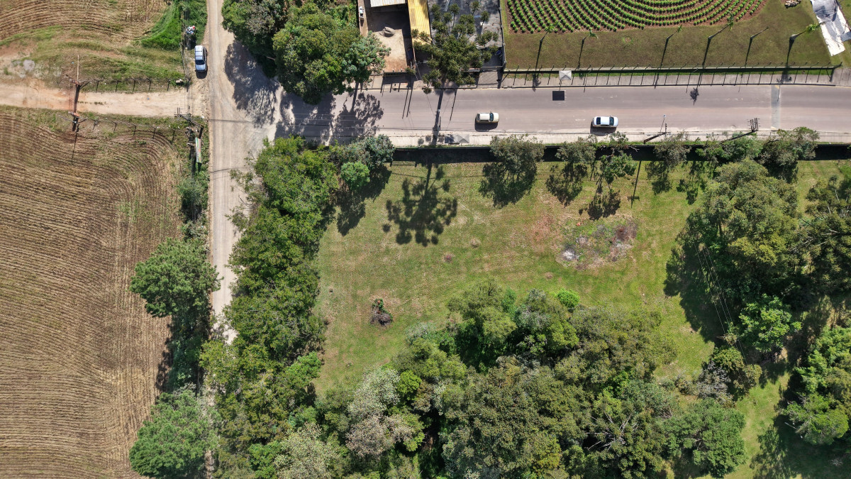 TERRENO NA RUA HEITOR PALLÚ, PIRAQUARA — foto 6 de 33