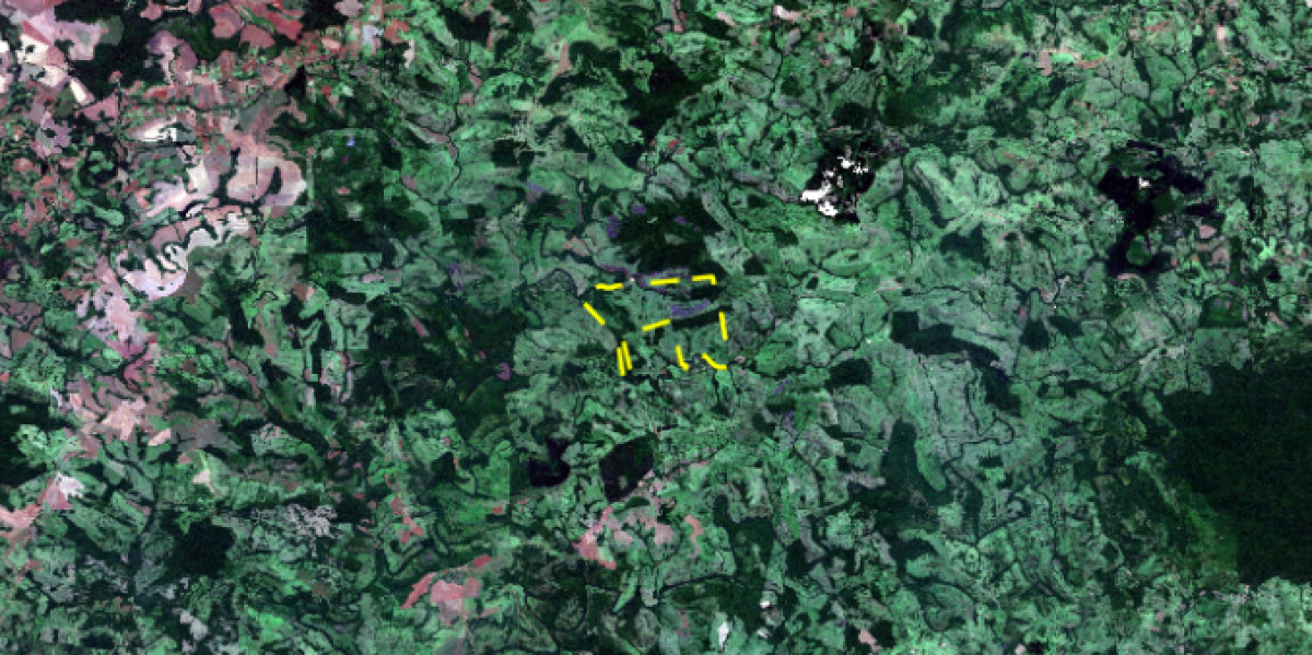 Imagem do imóvel IMÓVEL RURAL LOCALIZADO NA LINHA SÃO LUIZ, GUARANIAÇU/PR