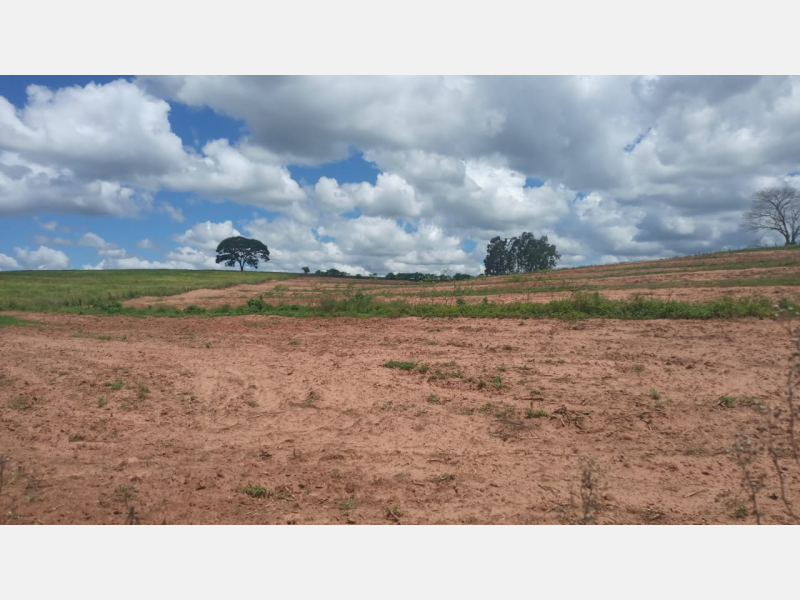 Imóvel rural em leilão em Araruna