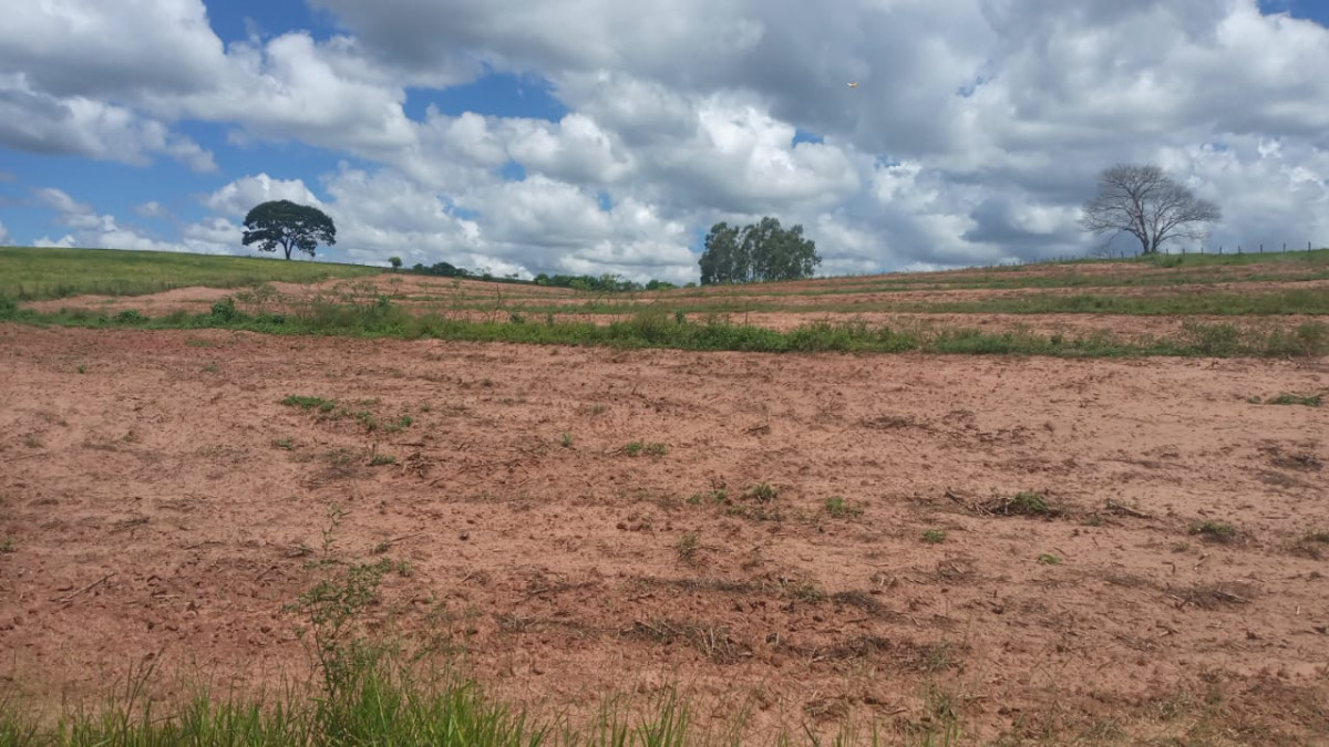 Lote 1 - Lote de terra n 58-A1/Y Gleba 5 Colonia Mourão com área de 39.598,82 m2 em Araruna-PR, localizado em Araruna - PR