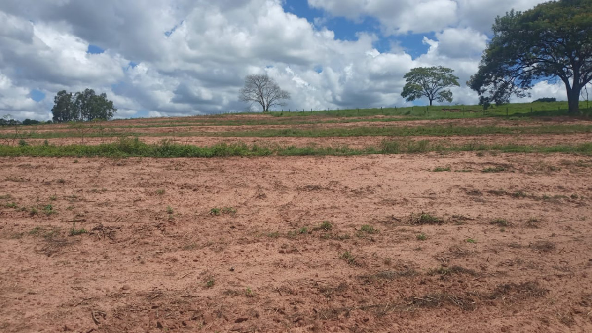 Lote 1 - Lote de terra n 58-A1/Y Gleba 5 Colonia Mourão com área de 39.598,82 m2 em Araruna-PR, localizado em Araruna - PR