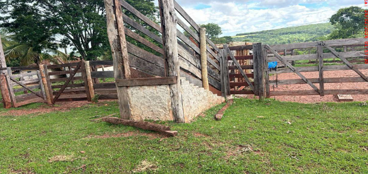 FAZENDA 68,30 ALQUEIRES COM CURRAL E 4 TANQUES PARA CRIAÇÃO DE PEIXES - PALESTINA DE GOIÁS/GO, localizado em Palestina De Goiás - GO