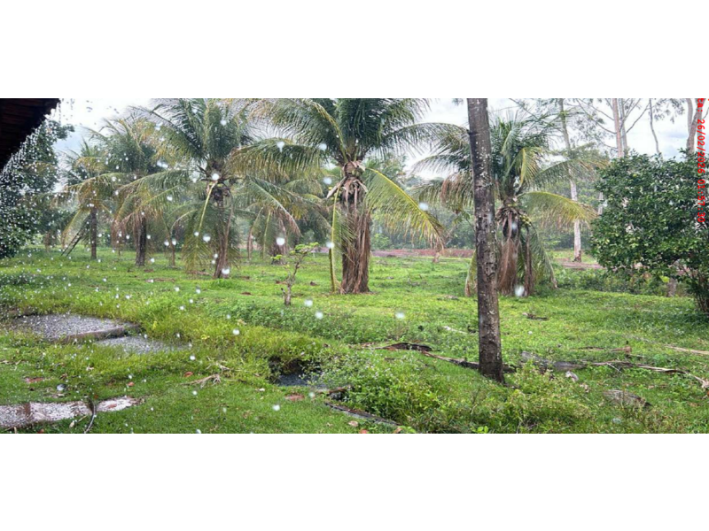 FAZENDA 68,30 ALQUEIRES COM CURRAL E 4 TANQUES PARA CRIAÇÃO DE PEIXES - PALESTINA DE GOIÁS/GO, localizado em Palestina De Goiás - GO
