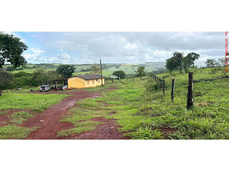 FAZENDA 68,30 ALQUEIRES COM CURRAL E 4 TANQUES PARA CRIAÇÃO DE PEIXES - PALESTINA DE GOIÁS/GO, localizado em Palestina De Goiás - GO