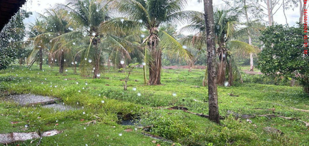 Imagem do imóvel FAZENDA 68,30 ALQUEIRES COM CURRAL E 4 TANQUES PARA CRIAÇÃO DE PEIXES - PALESTINA DE GOIÁS/GO