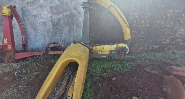 COLHEDEIRA MAX-GOLD PREMIER | 2020 |