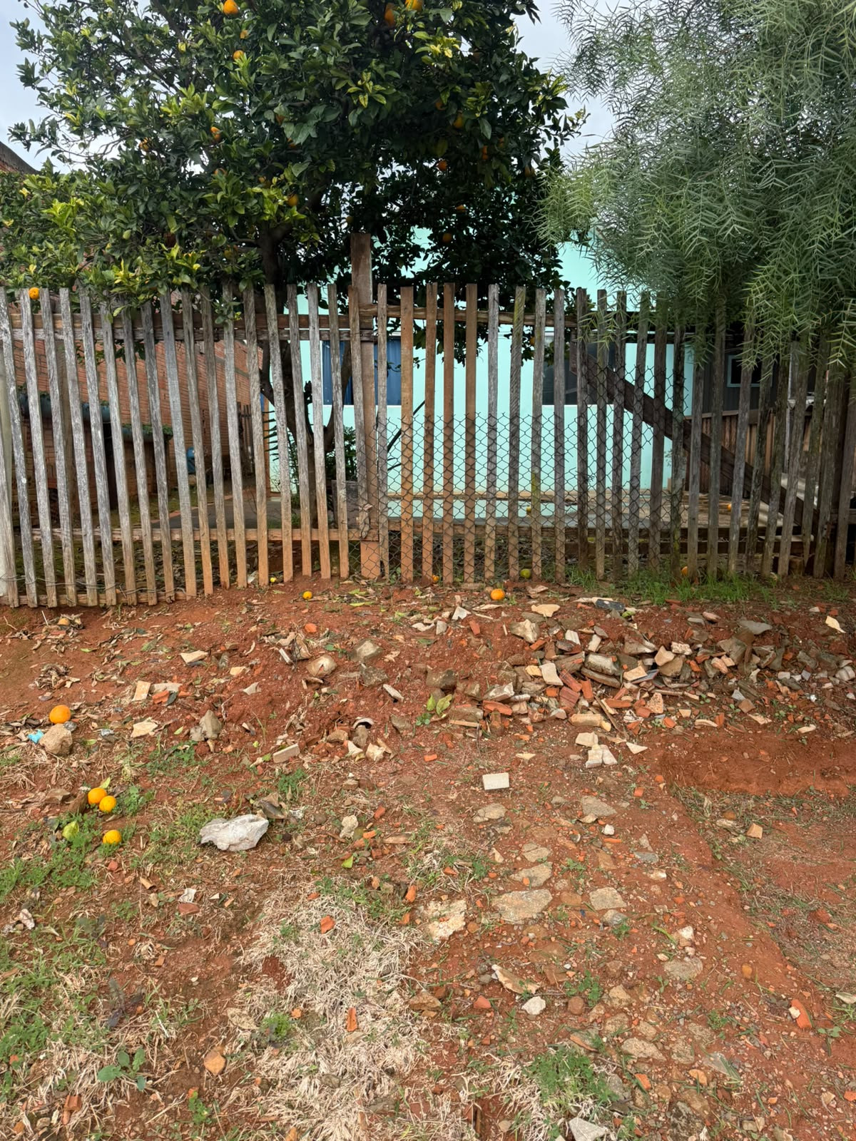 Terreno (foto 7 de 7)
