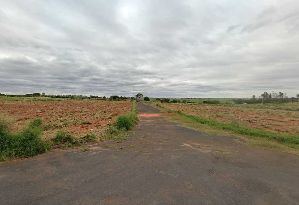 Topo Leilões