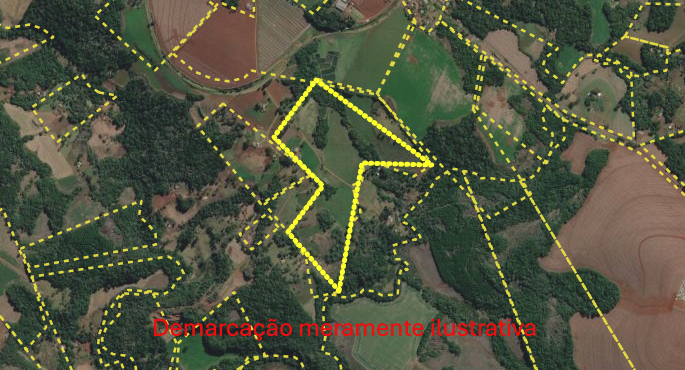 Topo Leilões