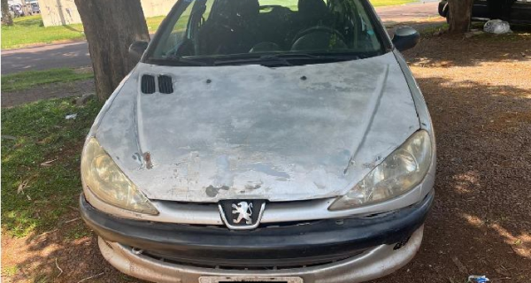 Peugeot/206 Selection - Ano 2003 - Cor Cinza