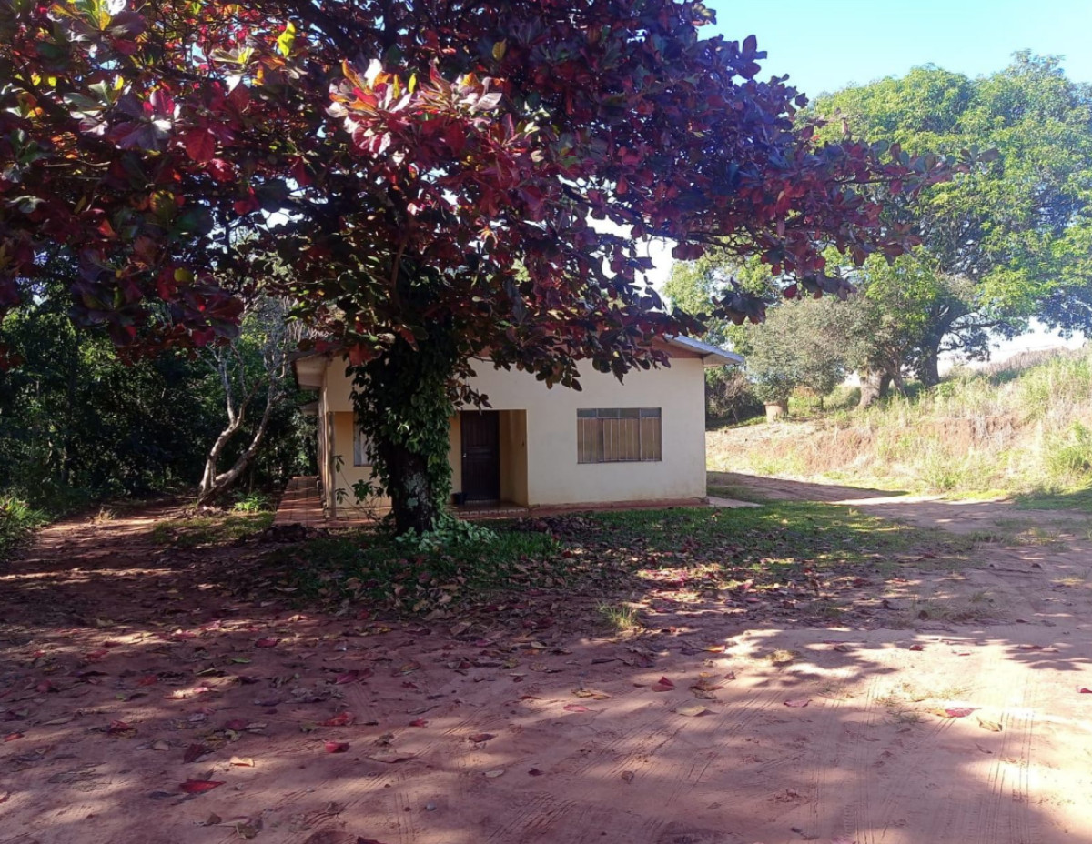 Gleba (foto 4 de 4)