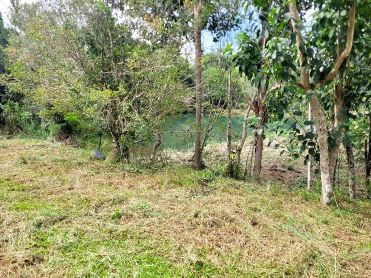 Gleba (foto 5 de 45)