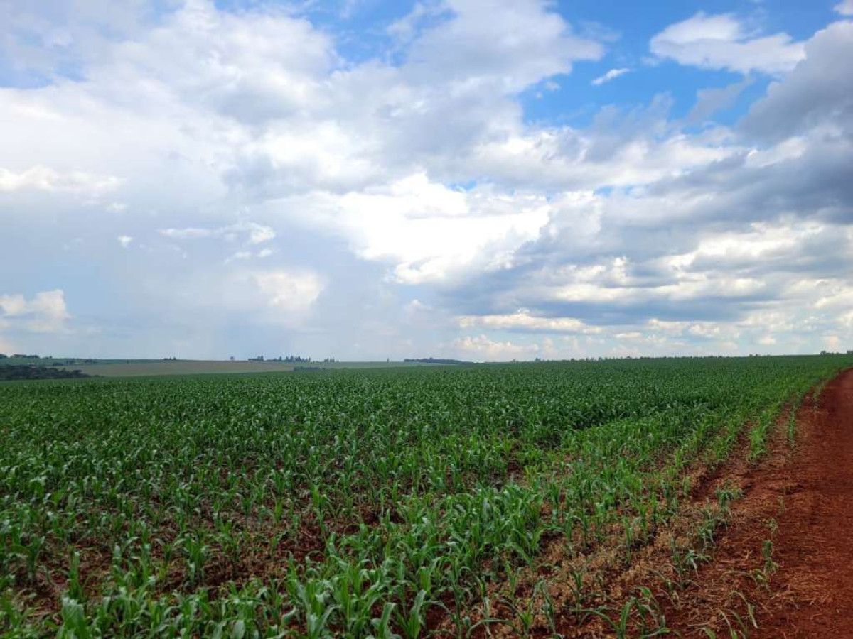 Imagem do imóvel Imóvel Rural - Área de 6.725.615,00m² - Fazenda Piquiri - Cascavel/PR