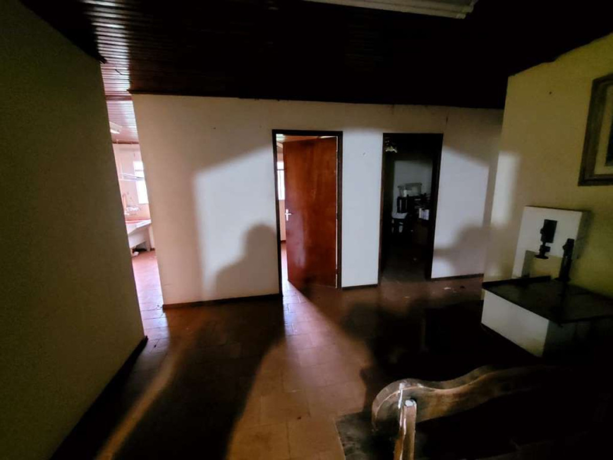 Gleba (foto 14 de 45)