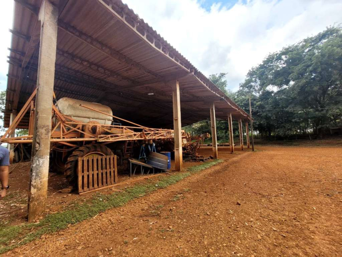 Gleba (foto 35 de 45)