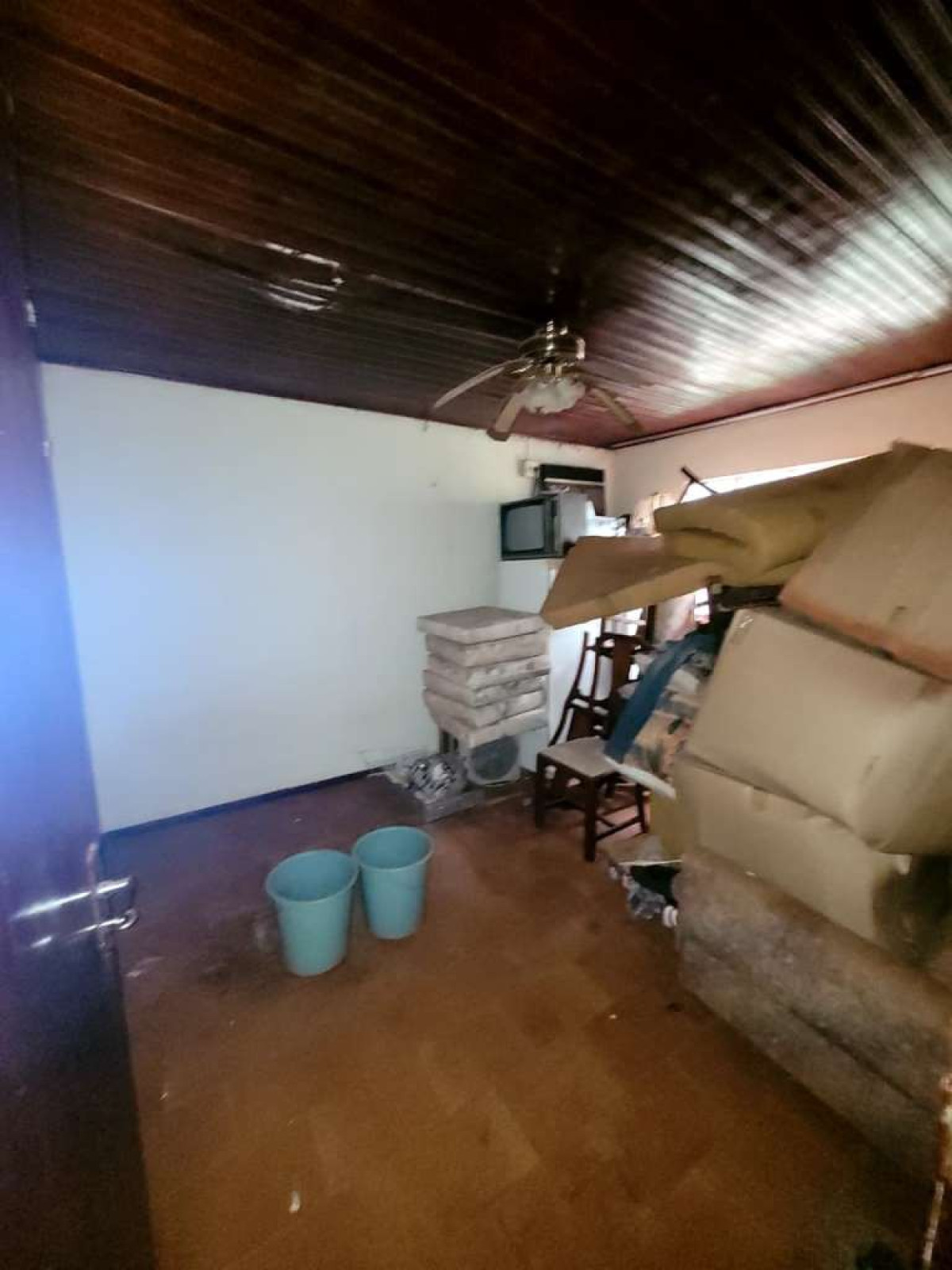 Gleba (foto 17 de 45)