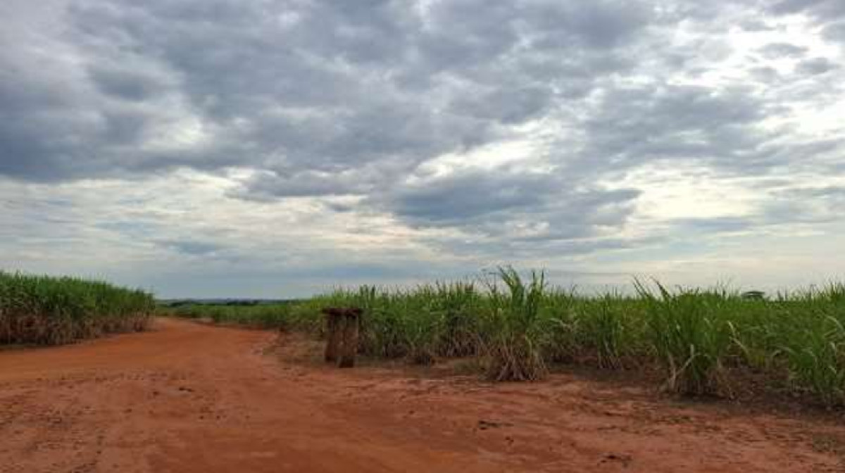 Imagem do imóvel Área Rural de 14,25 Hectares - Lote nº 14 - Bairro Meia Légua - Nova Europa/SP