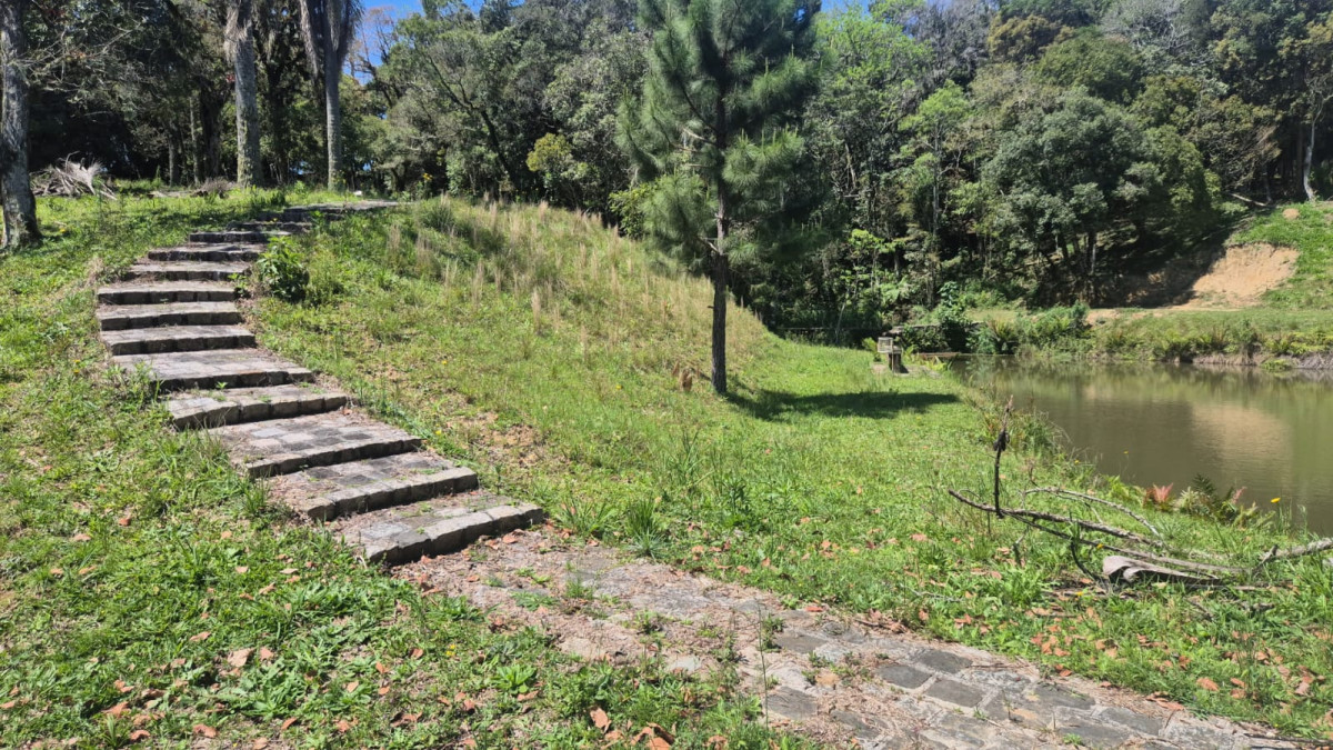 Gleba (foto 4 de 16)