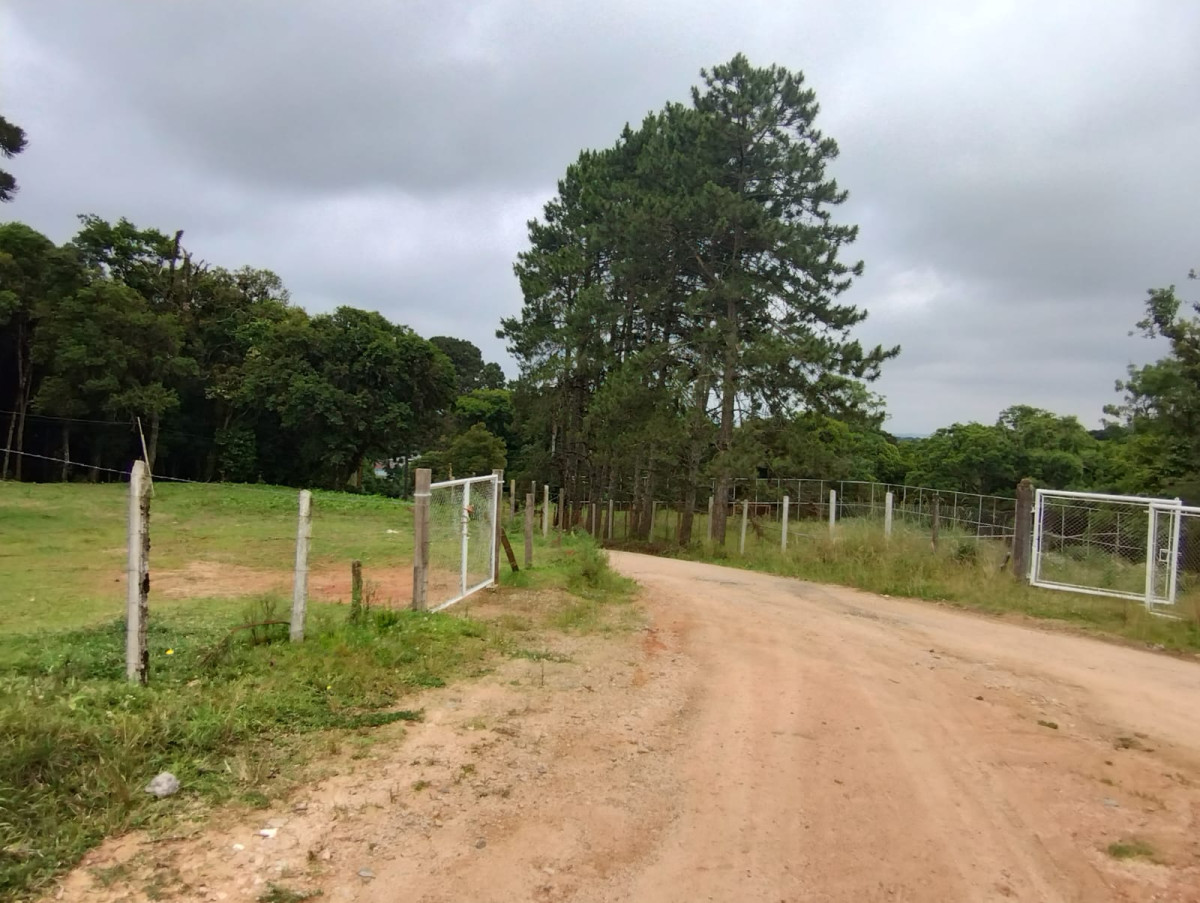 Gleba (foto 13 de 16)