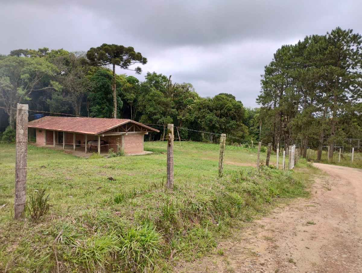 Gleba (foto 14 de 16)