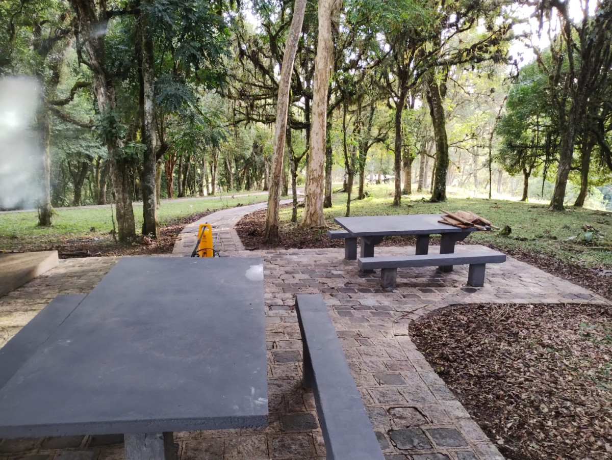 Gleba (foto 8 de 16)