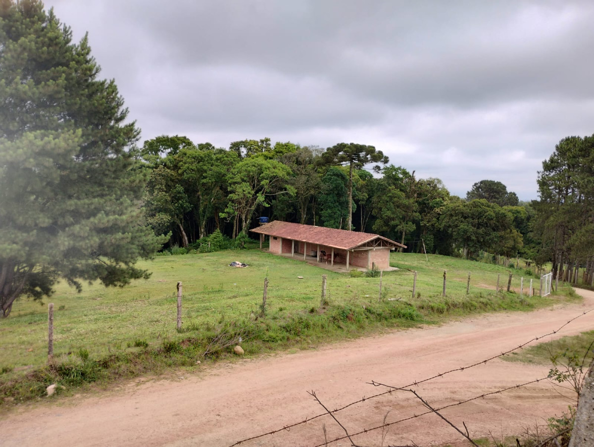 Gleba (foto 16 de 16)